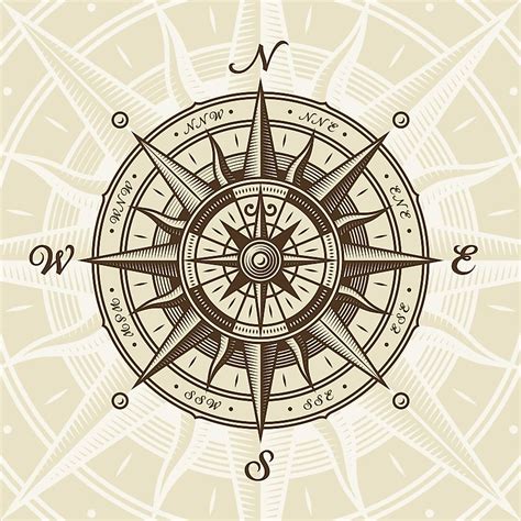 Cardinal Directions And Compass Rose - WorldAtlas