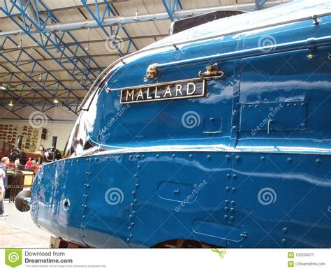 The Mallard editorial photo. Image of speed, train, railway - 102233071