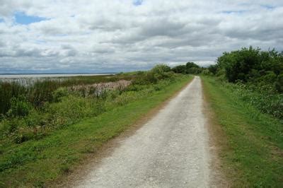 Lake Apopka Loop Trail