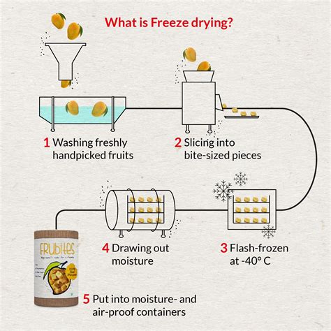 Process of Freeze Drying | Dry snacks, Freeze drying, Frozen