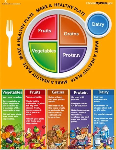 My Plate Poster - MyPlate Poster | Healthy plate, Nutrition poster ...