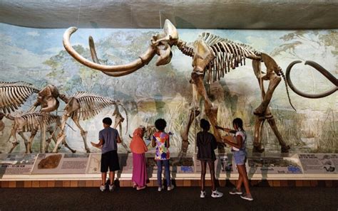 University of Nebraska State Museum - Only in Nebraska