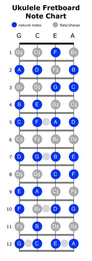 How to Find Ukulele Fretboard Notes Using the Chromatic Scale