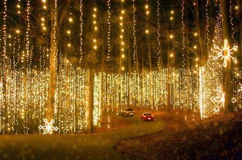 Callaway Gardens Fantasy In Lights Pictures – Beautiful Flower ...