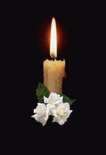 Condolence Candle GIF – Condolence Candle Dark – discover and share GIFs