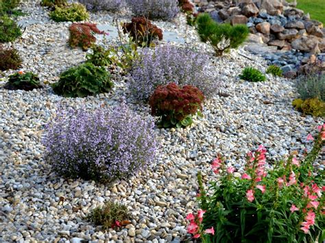 What Is A Gravel Garden: Ideas For A Landscape Gravel Garden ...