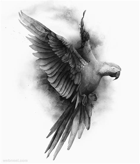 30 Beautiful Bird Drawings and Artworks