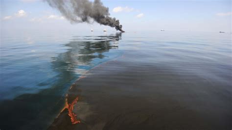 BP Oil Spill Damaged Sea-Floor Life for Miles in Gulf of Mexico ...