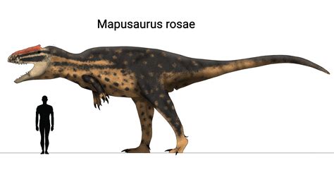 Mapusaurus rosae : r/Paleoart