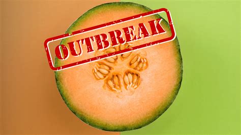 Cantaloupe Salmonella Outbreak Sickens Over 200 Across Dozens of States ...