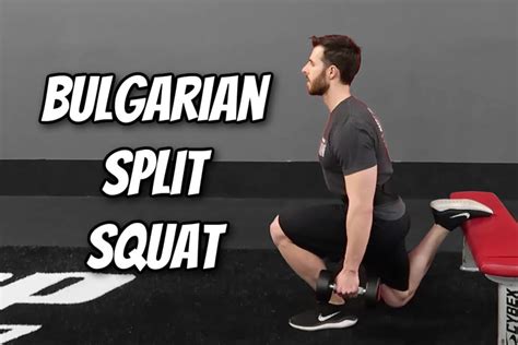 8 Bulgarian Split Squat Variations For Targeting Glutes & Quads ...