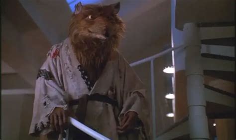 TMNT Master Splinter Biography | TeenageMutantNinjaTurtles.com