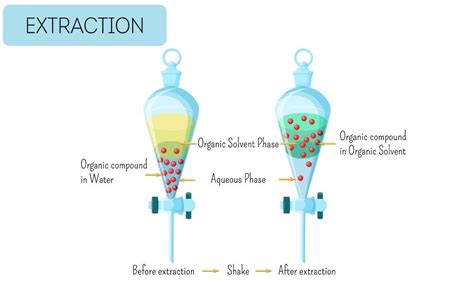 What Is the Difference Between Liquid Liquid Extraction and Supported ...