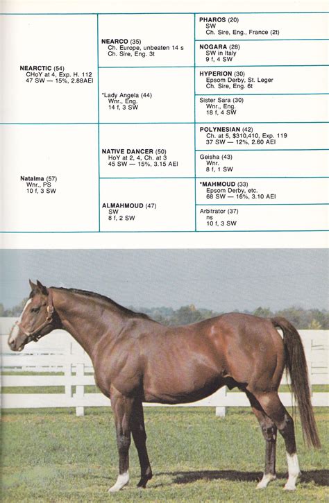 Northern Dancer. A page from the Windfields 1977 sire brochure. By this ...