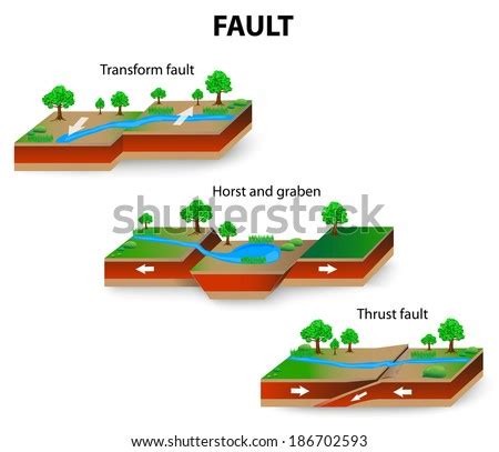 Types Geological Faults Transform Thrust Fault Stock Vector 184649939 ...