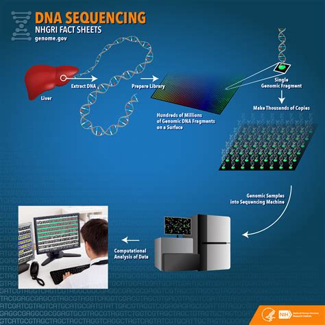 Dna Sequencing Services - Gambaran