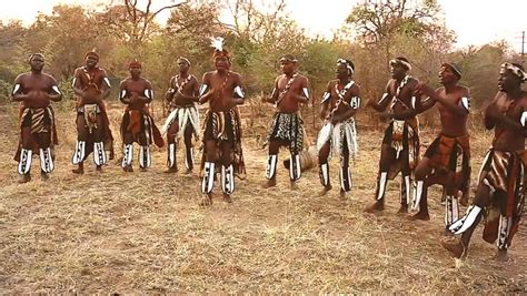 ZIMBABWE - SEPT 10, 2014:Traditionally Dressed African Tribesmen Of The ...