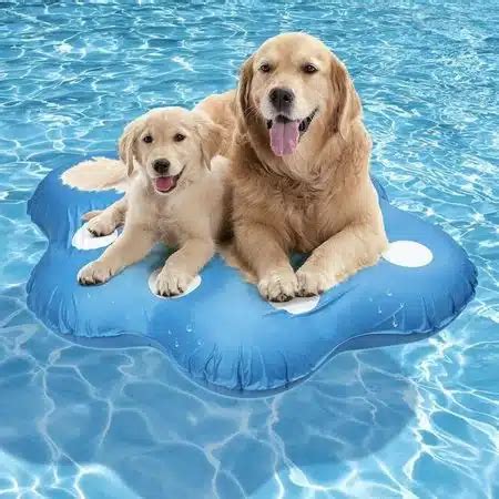 5 Best Dog Floaties For The Pool, Beach & More - Canine Journal