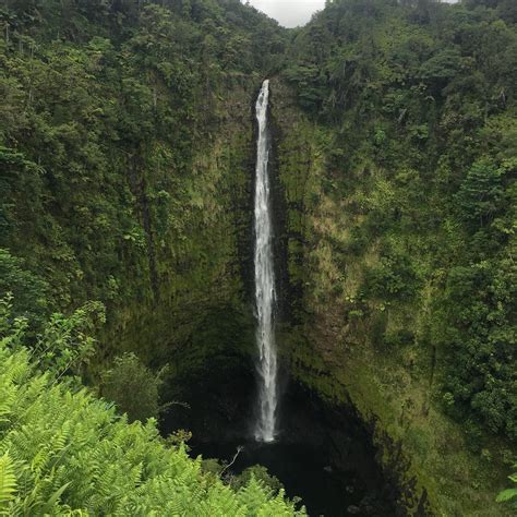 Akaka Falls | Waterfall, Scenery, Places to go