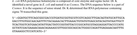 E. coli RNA polymerase holoenzyme is composed of core | Chegg.com