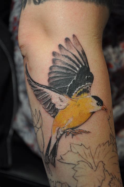 Yellow Bird Tattoo Photos