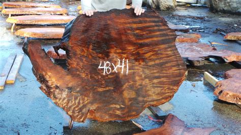 Redwood Burl Slabs 3 – Redwood Burl Inc.