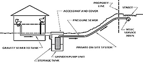 Frequently Asked Questions - Busy Service