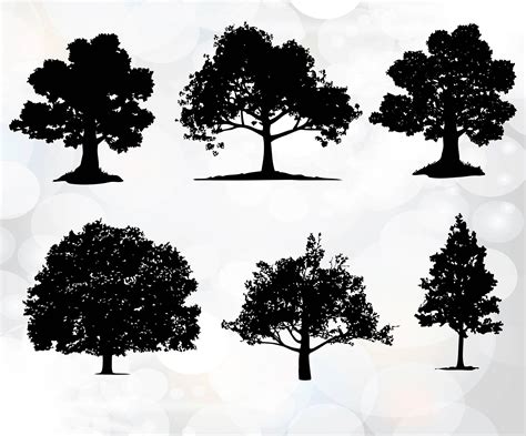 Tree Silhouette SVG files Tree SVG Cutting Templates for