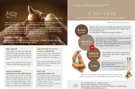 What is "Gastrodia Elata"? – marketwoori