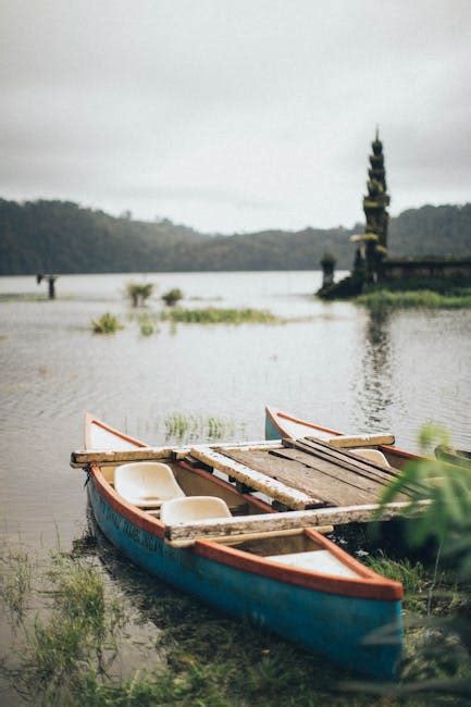 White Canoe Near Trees · Free Stock Photo