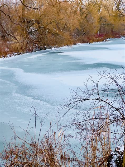 Frozen pond by manicam | ePHOTOzine