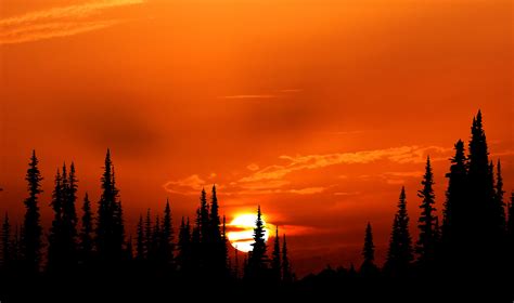 Download Silhouette Nature Sunset 4k Ultra HD Wallpaper by rauschenberger