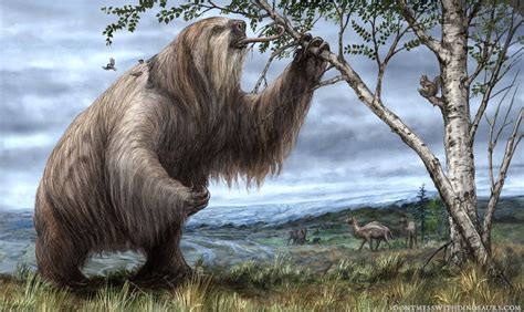 Jefferson's Ground Sloth browsing on foliage in Pleistocene North ...