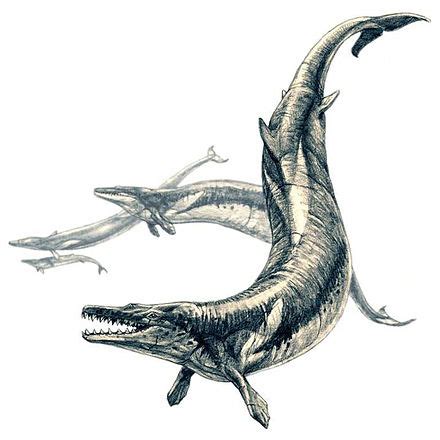 Basilosaurus - Wikipedia