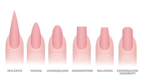 Shapes of nails, or how to file them | Blog Indigo Nails