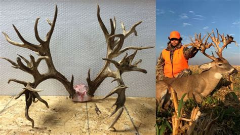 Tennessee hunter could break world record with 47-point buck | Fox 59