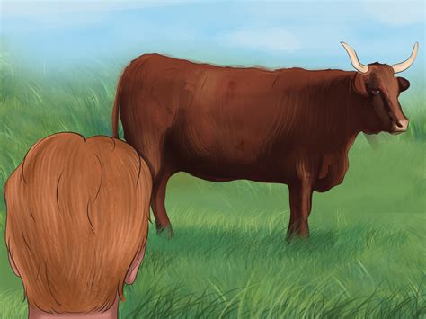 How to Identify Salers Cattle: 4 Steps (with Pictures) - wikiHow