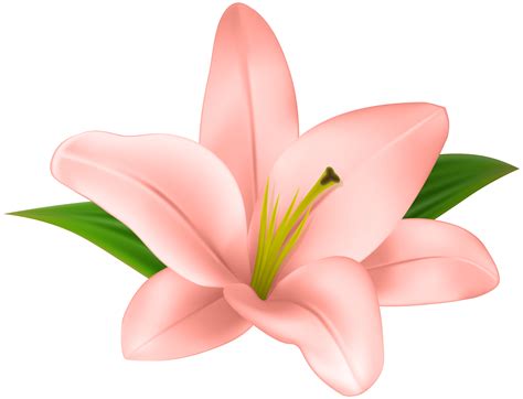 Transparent Flower Clipart | Free download on ClipArtMag