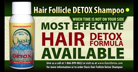 Best Hair Follicle Detox Shampoo | Spefashion