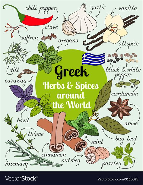 Greek herbs and spices Royalty Free Vector Image