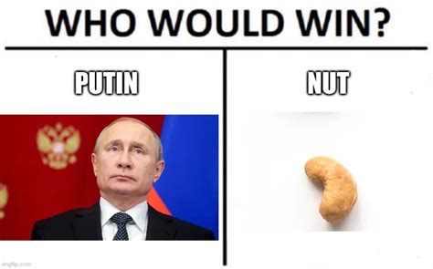 Putin vs Nut - Imgflip