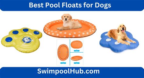 Top 5 Best Pool Floats for Dogs | Best Dog Pool Float - SwimPoolHub