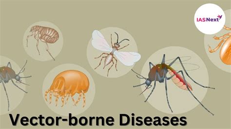 Vector-borne Diseases