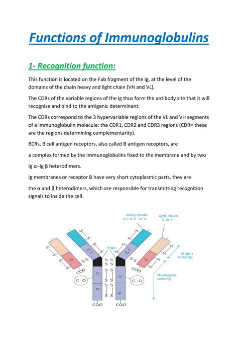 Functions of Immunoglobulins - The CDRs of the variable regions of the ...