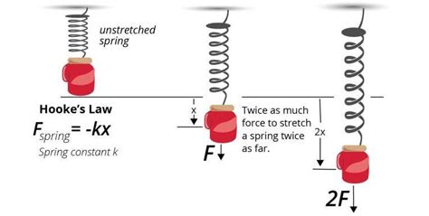 Hookes Law - Understanding Definition, Formula, and Graph