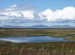 Tundra, Alaska Department of Fish and Game