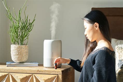 Best Essential Oils for Humidifier Use