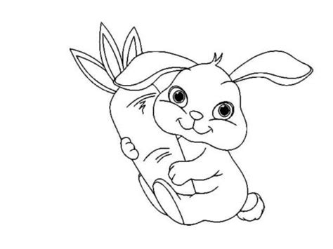 Carrot Bunny Coloring Page » Turkau