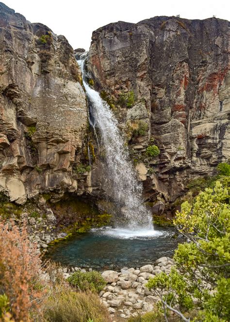 Taranaki Falls Walk Easy Hiking Guide - 6 Local Tips! (2024)