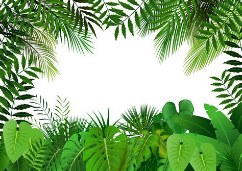 Jungle Vector Art, Icons, and Graphics for Free Download